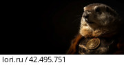 Anthropomorphic marmot wearing regal cloak banner. Generate ai. Стоковое AI-изображение, AI-художник Иван Рябоконь / Фотобанк Лори