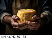 Cheesemaker holding cheese food person. Generate Ai. Стоковое AI-изображение, AI-художник Иван Рябоконь / Фотобанк Лори