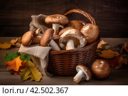 Mushroom boletus in wicker basket. Generate ai. Стоковое AI-изображение, AI-художник Иван Рябоконь / Фотобанк Лори