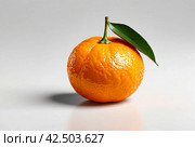Picture of fresh ripe mandarin at isolated white background. Illustration of mandarine for design project, poster, banner, logotype. Fresh fruits concept. Copy ad text space. Generative Ai image. Стоковое AI-изображение, AI-художник Aleksandr Golubev / Фотобанк Лори