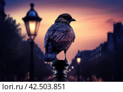 Urban nocturnal majestic bird on illuminated street. Generate ai. Стоковое AI-изображение, AI-художник Иван Рябоконь / Фотобанк Лори