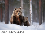 Brown bear with cute cub in winter forest. Generate ai. Стоковое AI-изображение, AI-художник Иван Рябоконь / Фотобанк Лори