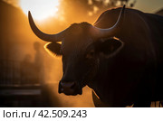 Spanish toro bull in sunset light. Generate ai. Стоковое AI-изображение, AI-художник Иван Рябоконь / Фотобанк Лори