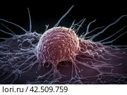 Electronic microscope cancer. Generate ai. Стоковое AI-изображение, AI-художник Иван Рябоконь / Фотобанк Лори