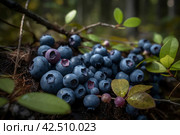 Pile blueberries in northern green forest. Generate ai. Стоковое AI-изображение, AI-художник Иван Рябоконь / Фотобанк Лори