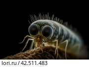 New species microscopic insect. Generate AI. Стоковое AI-изображение, AI-художник Иван Рябоконь / Фотобанк Лори