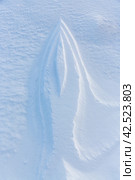 Beautiful winter background with snowy ground. Natural snow texture. Wind sculpted patterns on snow surface. Arctic, Polar region. Стоковое фото, фотограф Андрей Степанов / Фотобанк Лори