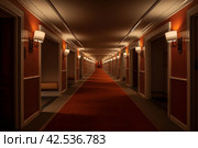 Carpeted Interior long hotel corridor. Generate Ai. Стоковое AI-изображение, AI-художник Иван Рябоконь / Фотобанк Лори