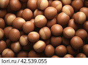 Delicious Macadamia nuts. Generate Ai. Стоковое AI-изображение, AI-художник Иван Рябоконь / Фотобанк Лори