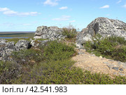 Месторождение лития Колмозеро. Мурманская область (2023 год). Редакционное фото, фотограф Анна Зеленская / Фотобанк Лори