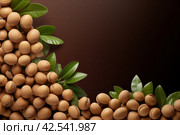 Buttery Macadamia nuts. Generate Ai. Стоковое AI-изображение, AI-художник Иван Рябоконь / Фотобанк Лори