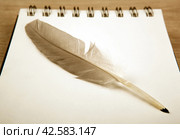 bird feather in the form of a pen on a white notebook. Стоковое фото, фотограф Александр Калугин / Фотобанк Лори