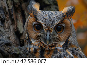 Long-eared owl (Bubo bubo) on a tree,    Generative AI. Стоковое AI-изображение, AI-художник Анна Кривицкая / Фотобанк Лори