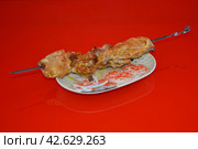 Шашлык из окорочков на белой тарелке с луком и соусом на зеркальном красном фоне. Стоковое фото, фотограф Михаил Киселев / Фотобанк Лори