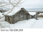 Погреба для хранения овощей в северной деревне (2024 год). Стоковое фото, фотограф Яковлев Сергей / Фотобанк Лори