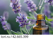 Lavender essential oil pouring from dropped into an amber bottle against a lavender flowers. Dropper filled herbal oil is pouring against blooming field, close-up. Health care, relaxation. Spa massage. Стоковое AI-изображение, AI-художник Марина Демидюк / Фотобанк Лори