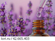 Lavender essential oil pouring from dropped into an amber bottle against a lavender flowers. Dropper filled herbal oil is pouring against blooming field, close-up. Health care, relaxation. Spa massage. Стоковое AI-изображение, AI-художник Марина Демидюк / Фотобанк Лори