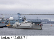 Фрегат Quang Trung проекта "Гепард-3.9" ВМС Вьетнама в бухте Золотой Рог, г. Владивосток (2021 год). Редакционное фото, фотограф Сергей Веселовский / Фотобанк Лори