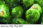 Super slow motion brussels sprouts fall. Стоковое видео, видеограф Артем Шадрин / Фотобанк Лори