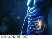 Human Digestive System Anatomy. Стоковое AI-изображение, AI-художник Ярославский Максим / Фотобанк Лори