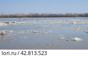 Spring drifting of ice on the river. Floating gray ice floes. Russia. Altai Territory. Ob River. 4K video. Стоковое видео, видеограф Дмитрий Кобзев / Фотобанк Лори