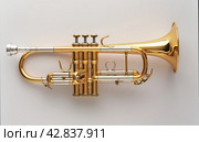 Golden Trumpet on White Background. Стоковое AI-изображение, AI-художник Кирилл Черезов / Фотобанк Лори