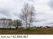 Три березки в апреле (2024 год). Редакционное фото, фотограф Андрей Иванов / Фотобанк Лори
