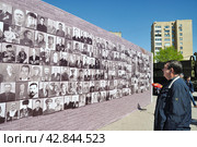 Мужчина рассматривает портреты ветеранов на стене памяти. Город Тюмень (2016 год). Редакционное фото, фотограф Александр Тараканов / Фотобанк Лори