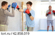 Focused adolescent guy wearing boxing gloves working out with male coach during self-defense course, practicing punches on mitts. Стоковое видео, видеограф Яков Филимонов / Фотобанк Лори