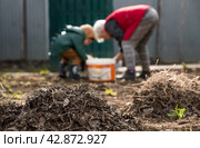 Clean-up day in early spring. Piles of old leaves in the foreground are in focus. A woman and a child are doing general cleaning in the garden in the background. People clean the lawn of dry leaves in the spring season. Gardening. Garden cleaning. Стоковое фото, фотограф Photojuli / Фотобанк Лори