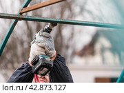 A man works with an electric grinder to clean rust from metal iron structures. Rust removal using an electric iron brush. Hands in work gloves are holding a power tool. Стоковое фото, фотограф Photojuli / Фотобанк Лори