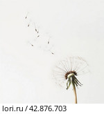 Dandelion Seed Dispersal. Стоковое AI-изображение, AI-художник Кирилл Черезов / Фотобанк Лори