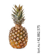 Pineapple. Стоковое фото, фотограф Винокуров Александр / Фотобанк Лори