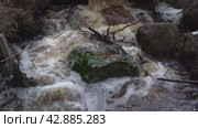 dirty jets of brown water are pouring down through a sewer in the park. Стоковое видео, видеограф Андрей Знаменский / Фотобанк Лори