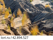Кондуки, Тульская область, Романцевские горы, Заброшенные Ушаковские каменоломни. Грязевая эрозия почвы выглядит как горы. Участок зарос молодыми березками. Красивый природный ландшафт (2020 год). Стоковое фото, фотограф Pukhov K / Фотобанк Лори