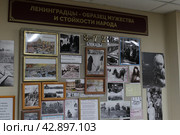 Стенд "Блокада Ленинграда в период Великой Отечественной войны 1941-1945 гг." на выставке в музее Ветеранов в Балашихе (2024 год). Редакционное фото, фотограф Дмитрий Неумоин / Фотобанк Лори