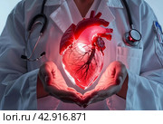 A cardiologist holds an artificial heart in his hands. Medical technologies and treatment for the diagnosis of diseases of the heart and cardiovascular system.Organ transplantation. Стоковое AI-изображение, AI-художник Photojuli / Фотобанк Лори