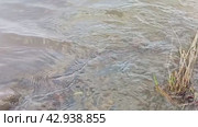 Плеск воды в реке. Стоковое видео, видеограф Андрей Тонков / Фотобанк Лори