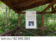 ARSHAN VILLAGE, TUNKINSKIY DISTRICT, BURYATIA, RUSSIA -  August 12, 2023:  View of stand with description of waterfall on mountain river Kyngarga in wooden gazebo on Eco Health Trail in Tunka Park. Редакционное фото, фотограф Виктория Катьянова / Фотобанк Лори