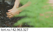 Hands cupping water from flowing rivulet in the forest. Water's vital role in nature emphasized. Girl washing arms in brook after planting tree. Стоковое видео, видеограф Igor Tichonow / Фотобанк Лори