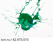 Green paint spot on paper, colorfull artistic image on white background. Стоковое фото, фотограф Яков Филимонов / Фотобанк Лори