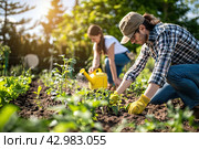 A happy family enjoys everyone's leisure time by picking weeds in the garden beds. Taking care of the garden. Стоковое AI-изображение, AI-художник Ярославский Максим / Фотобанк Лори