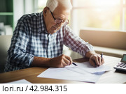 Resourceful Pensioner managing finances. Generate Ai. Стоковое AI-изображение, AI-художник Иван Рябоконь / Фотобанк Лори