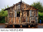 Simple Shack wooden old pallets example roof. Generate Ai. Стоковое AI-изображение, AI-художник Иван Рябоконь / Фотобанк Лори