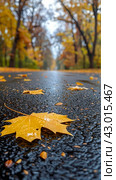 Leaf on Ground in Middle of Road. Стоковое AI-изображение, AI-художник Юлия Гапеенко / Фотобанк Лори