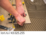 The process of laying floor tiles on the SVP Base, Tile Leveling System. Стоковое фото, фотограф Evgenii Predibailo / Фотобанк Лори