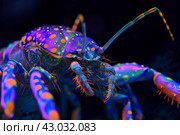 Abstract Arthropod antient neon image. Generate Ai. Стоковое AI-изображение, AI-художник Иван Рябоконь / Фотобанк Лори
