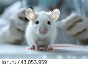 White laboratory mouse on a background of blurred experimenter. Стоковое AI-изображение, AI-художник Евгений Харитонов / Фотобанк Лори