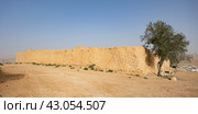 Solitary tree by sunlit weathered earthen wall of Ksar Daghara. Стоковое фото, фотограф Яков Филимонов / Фотобанк Лори
