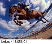 Equestrian Showjumping in Action. Стоковое AI-изображение, AI-художник Кирилл Черезов / Фотобанк Лори